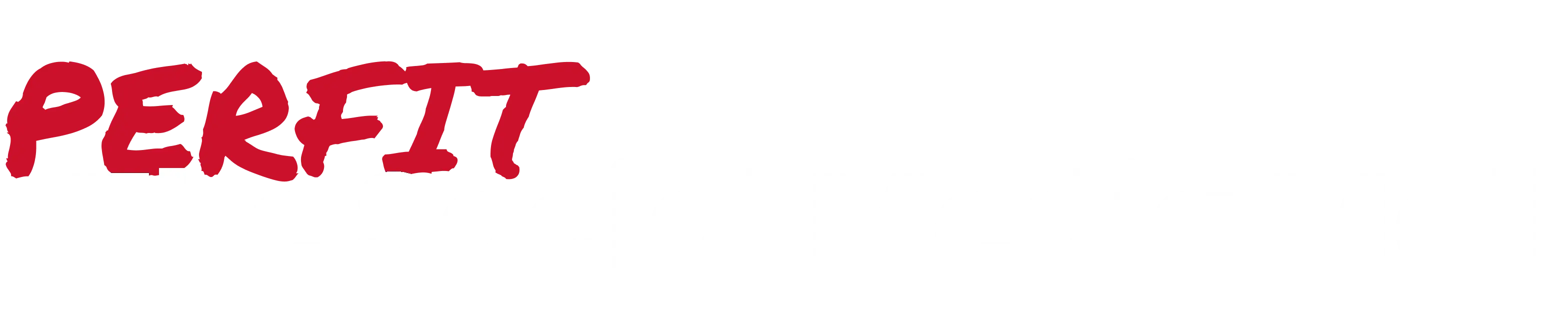 PERFIT - The Social Media Mall