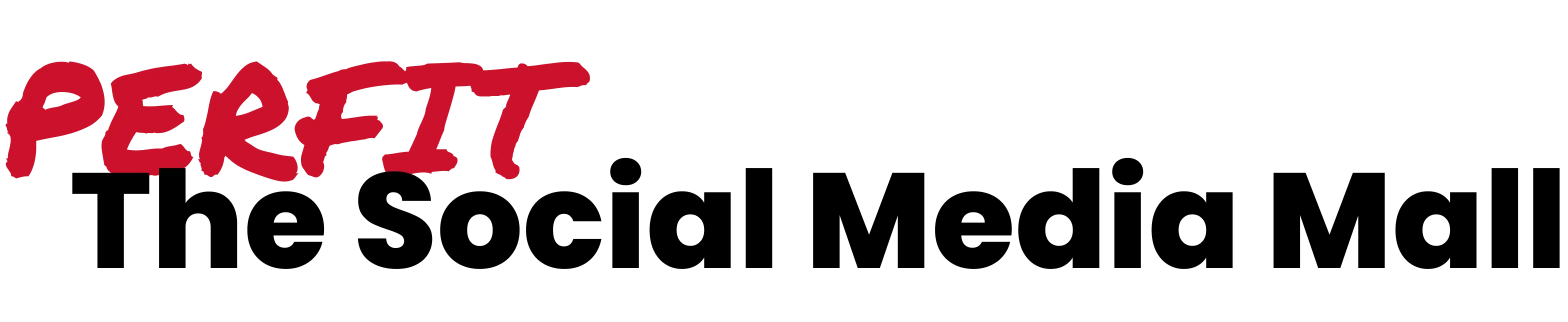 PERFIT - The Social Media Mall